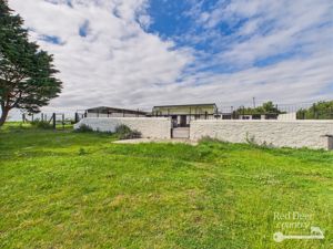 Kennels- click for photo gallery